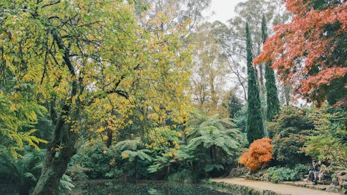 Fotobanka s bezplatnými fotkami na tému dandenong rozsahy, dedinský, exteriéry