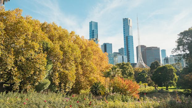 Victoria Falls, Zimbabwe photo 3