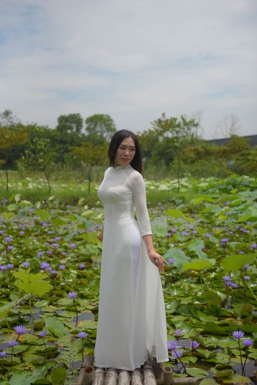 Free Elegant woman in white traditional dress standing gracefully in a vibrant lotus pond. Stock Photo