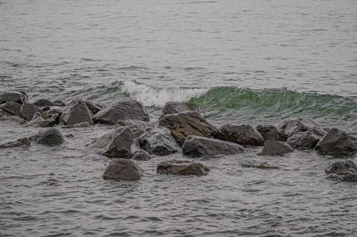 beach, wave 的 免費圖庫相片