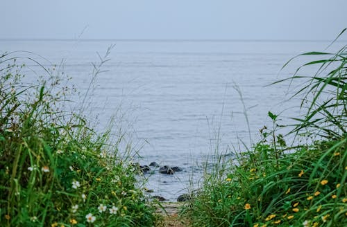 beach 的 免費圖庫相片