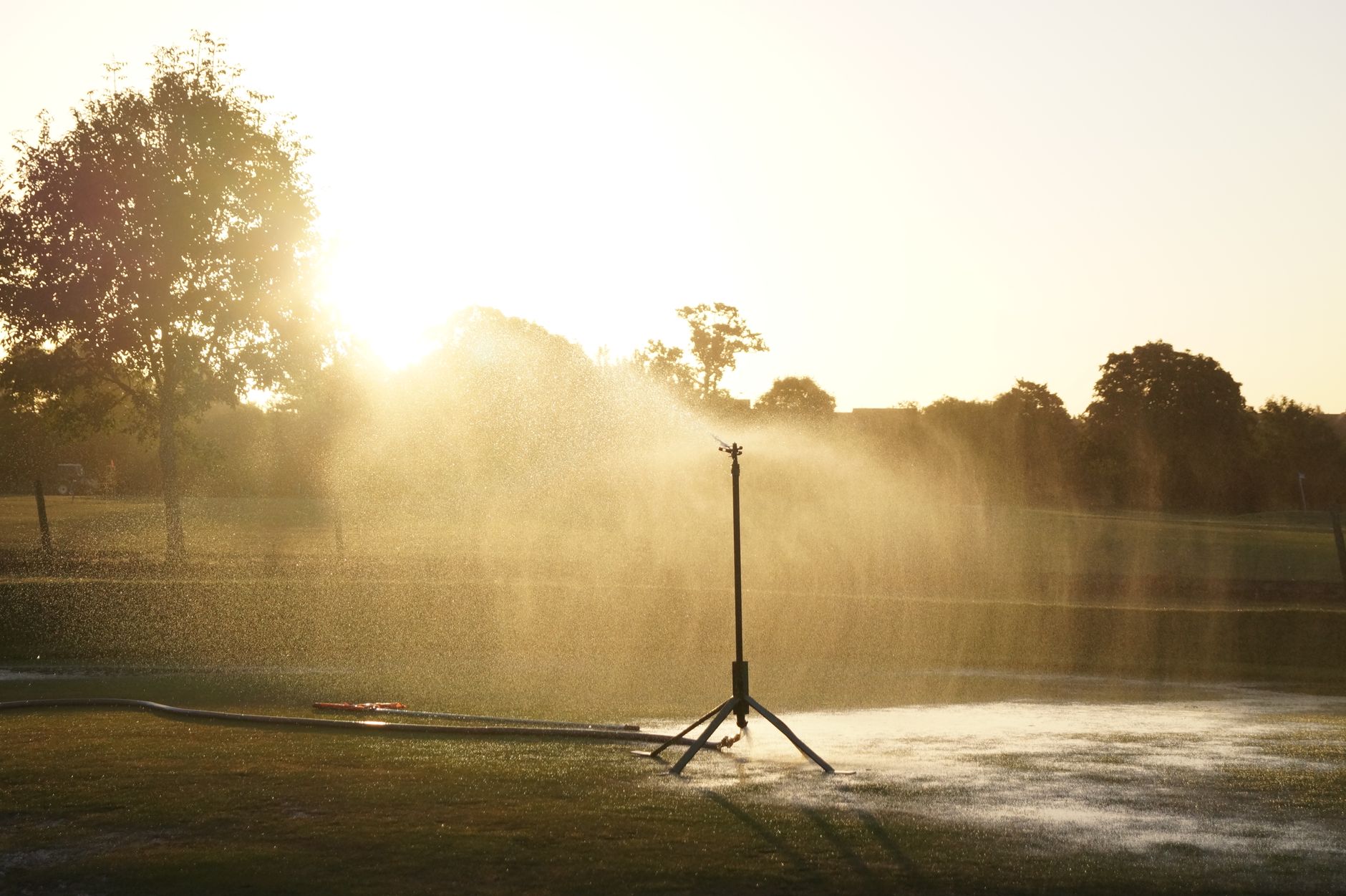 multiple pop-up sprinklers spraying arcs of water across a green lawn at golden hour