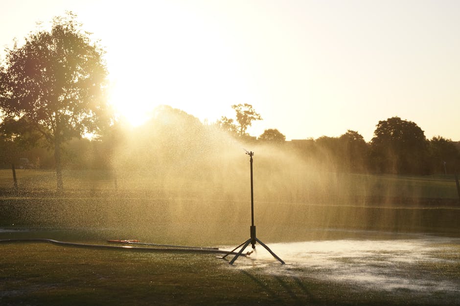 lawn irrigation