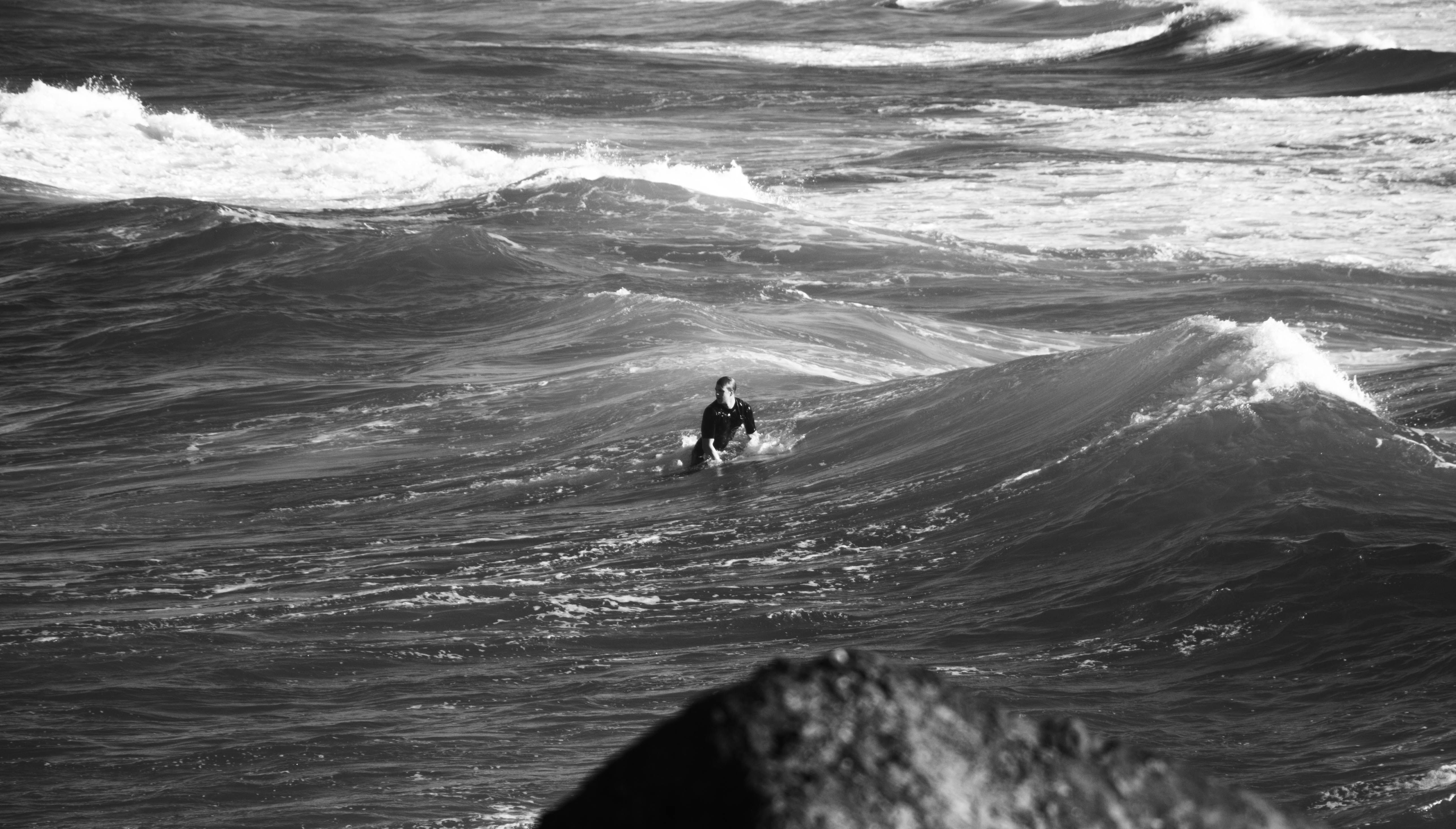 Gratis lagerfoto af Dreng, mænd, surfing Lagerfoto