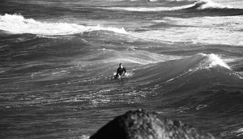 Free stock photo of boy, men, ocean