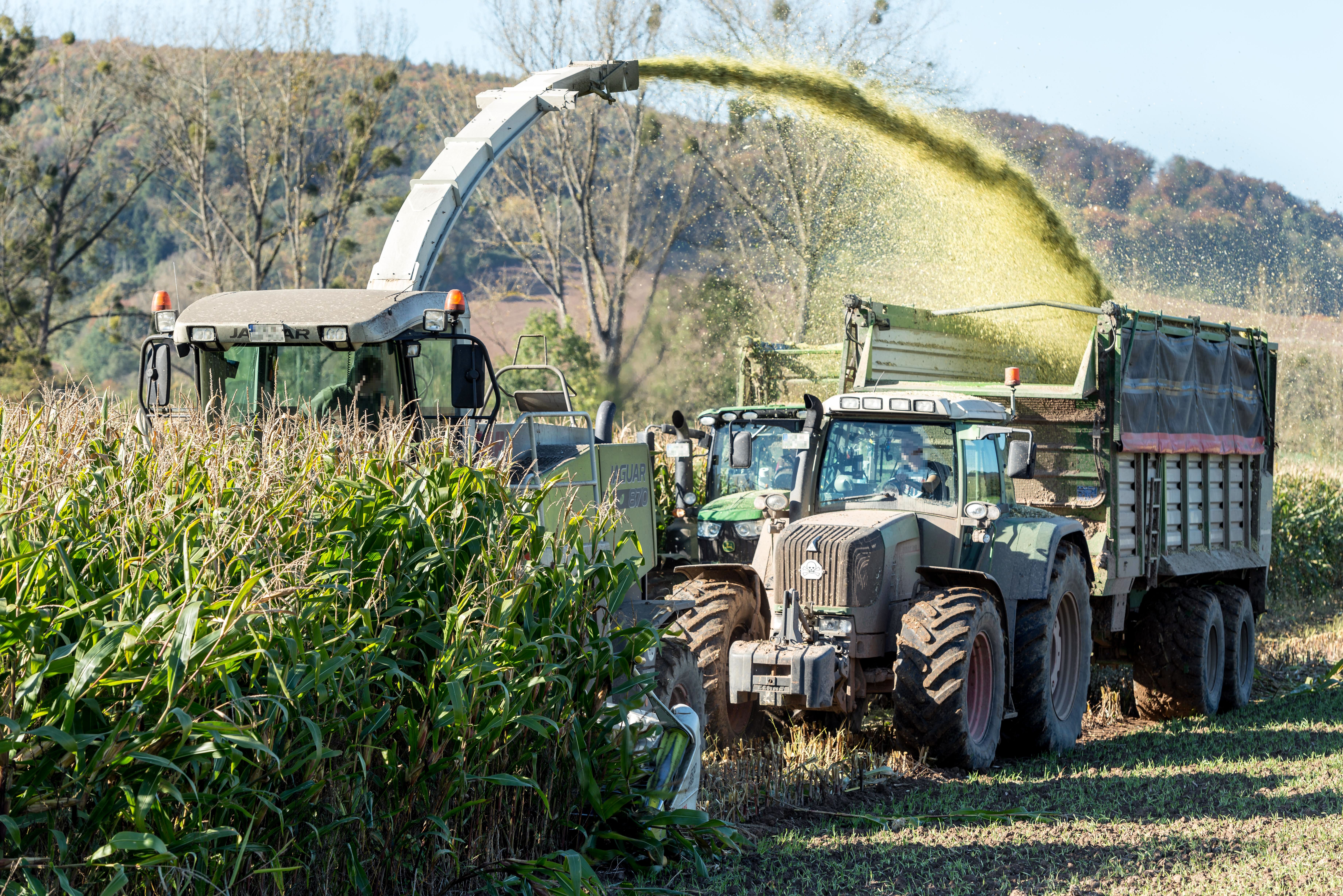 specialty diets specialty diesel services — Photo by Wolfgang Weiser on Pexels