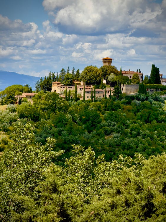 Immagine gratuita di alberi, castelli, castello