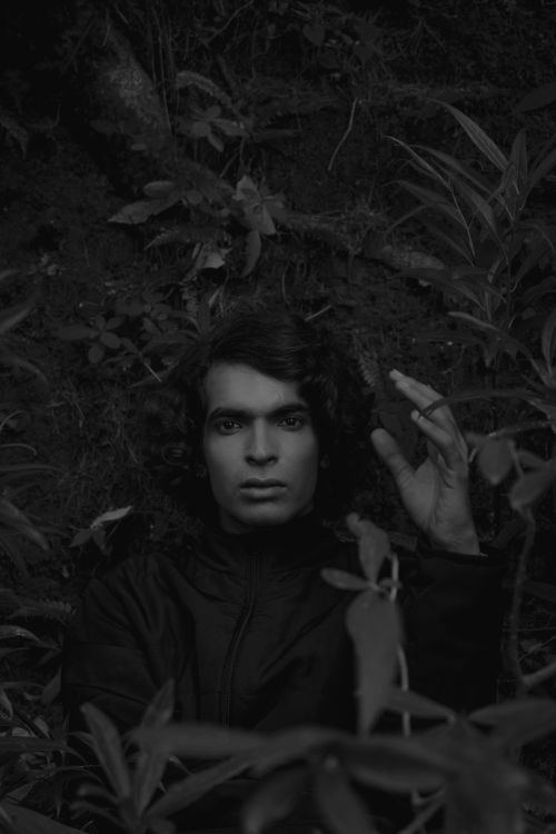 Free Portrait of a man amidst dense foliage taken in Dharamshala, India. Stock Photo