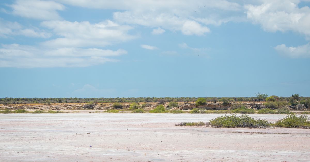 Bonaire Best Time To Visit — Caribbean travel guide