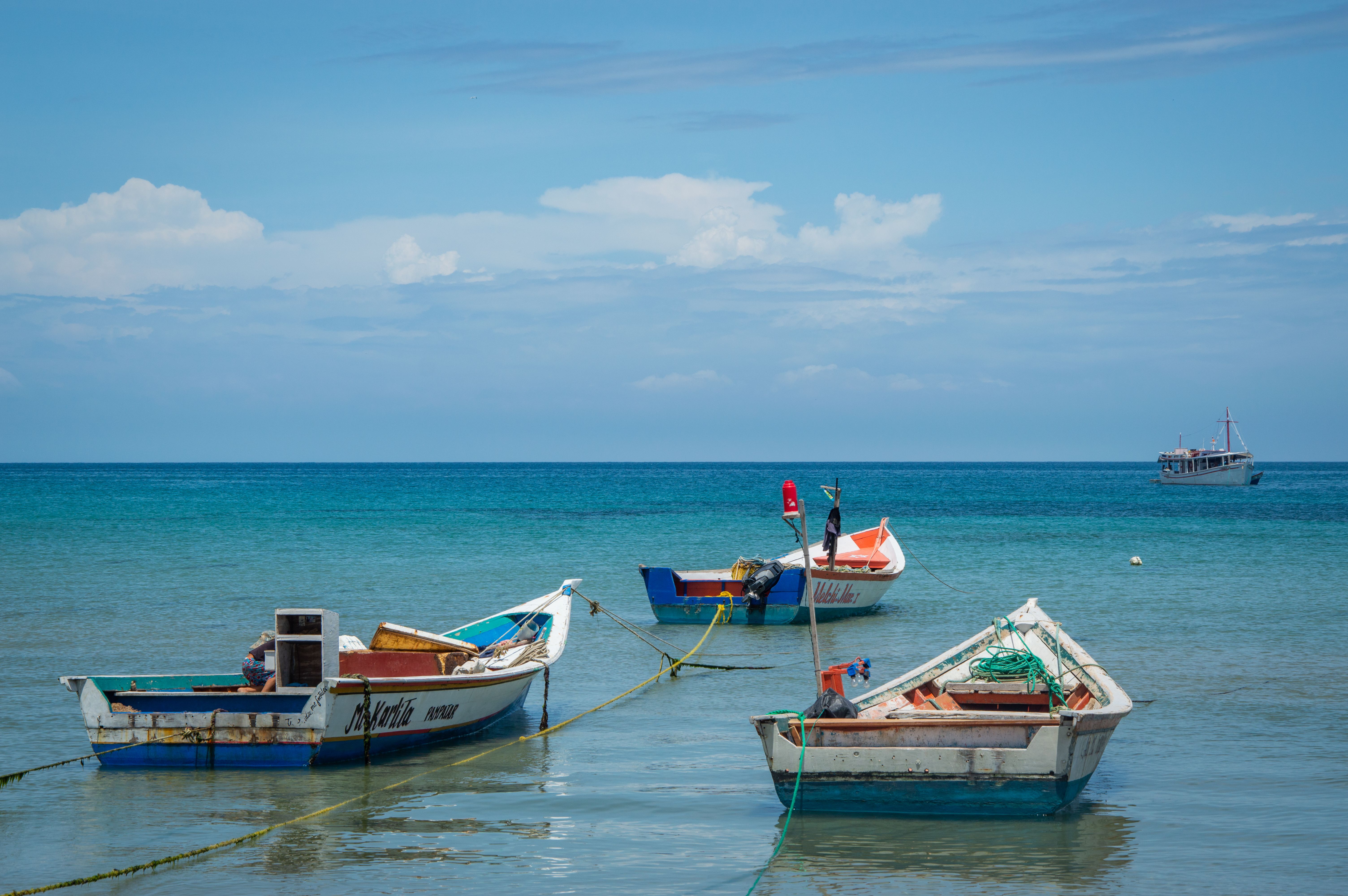 View of Boats Moored on the Shore · Free Stock Photo