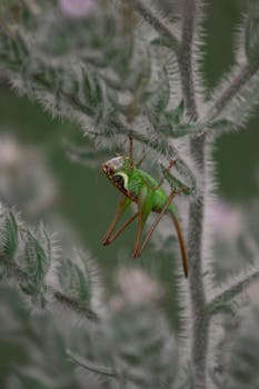 Image by Hasan Yeşilmen