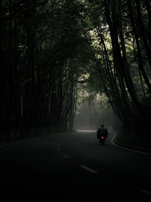 street, 光, 公園 的 免费素材图片