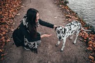 一名妇女在秋天的湖边小路上与一只斑点狗互动
