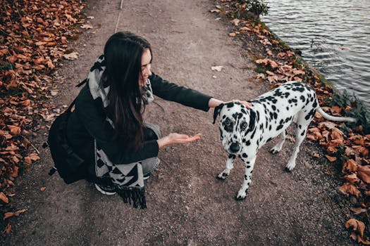 一名妇女在秋天的湖边小路上与一只斑点狗互动