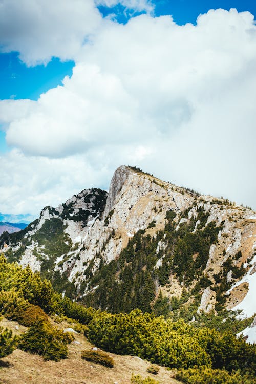 Free stock photo of adventure, background, creek