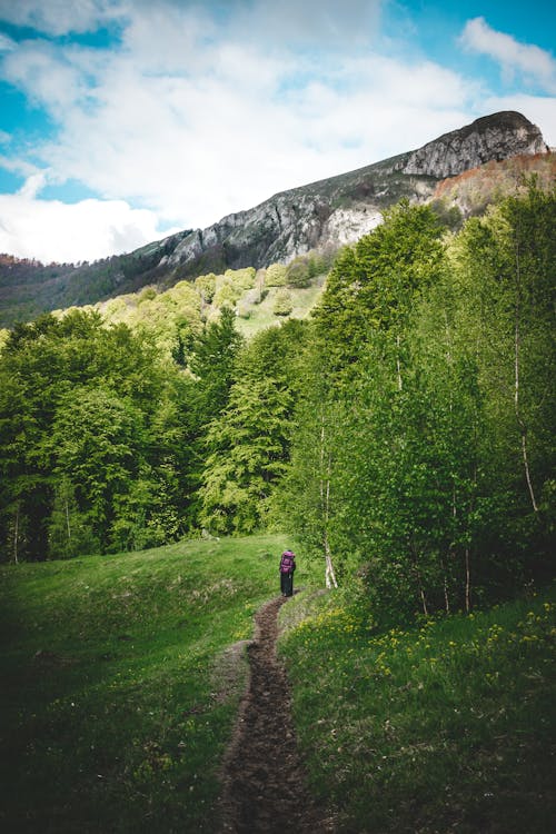 Free stock photo of adventure, background, creek