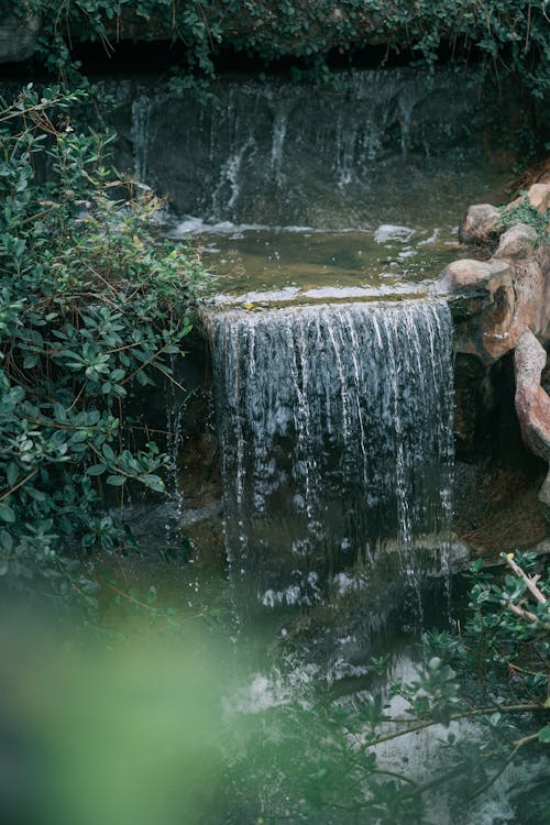 Безкоштовне стокове фото на тему «вода, Водоспад, Деревина»