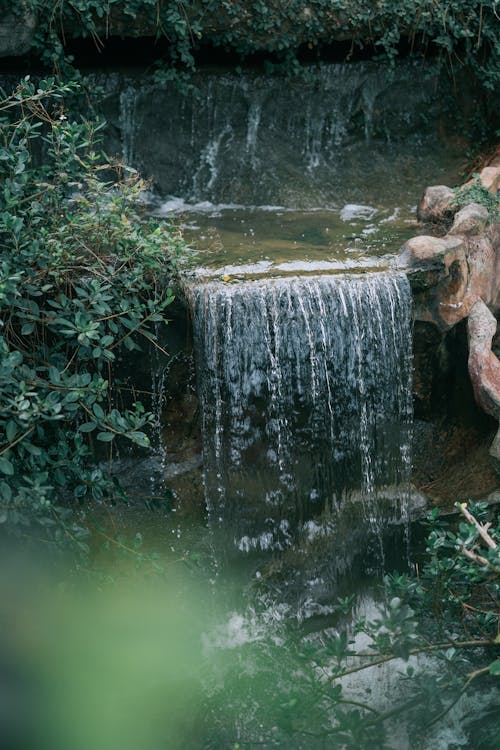 Foto d'estoc gratuïta de a l'aire lliure, aigua, arbre