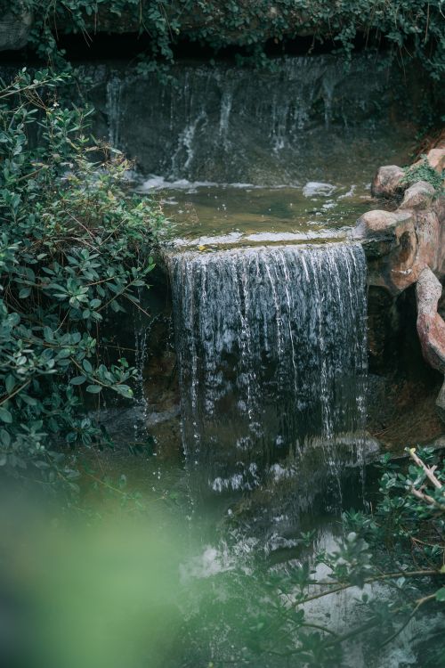 Free A tranquil small waterfall surrounded by lush foliage, captured in serene nature. Stock Photo