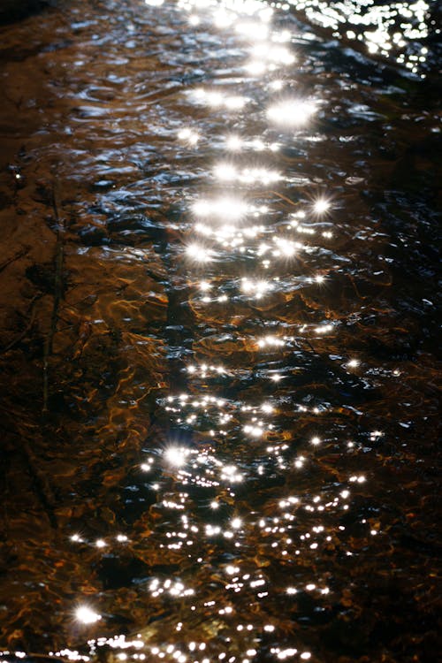 Fotos de stock gratuitas de agua, al aire libre, amanecer