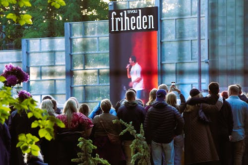 Free stock photo of concert, frriheden