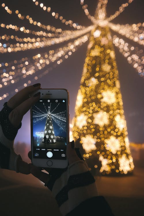Free Person Taking Picture of Gold Lighted Tree Stock Photo