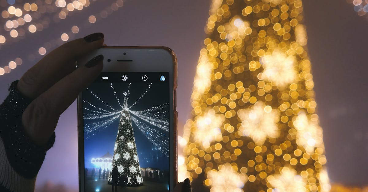 Person Taking Picture of Gold Lighted Tree