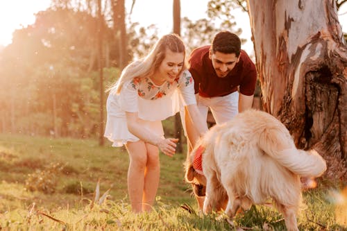 Man And Woman Standing Beside Dog During Golden Hour