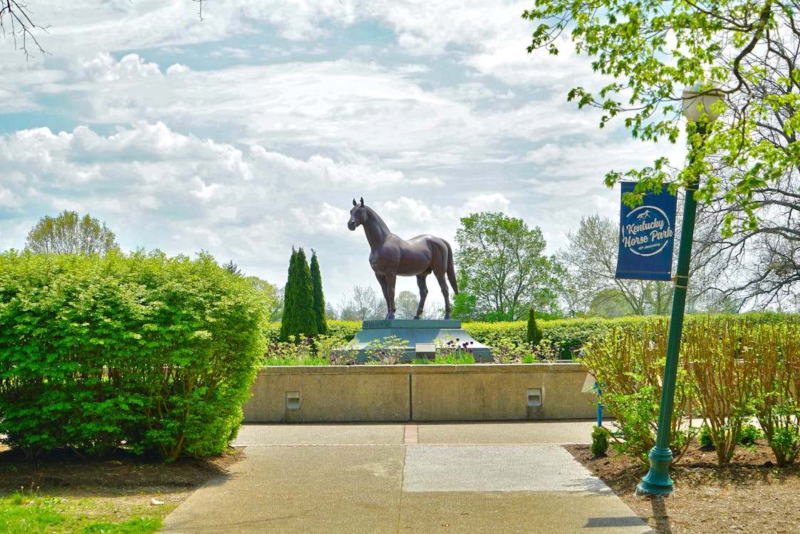 Free stock photo of horse, horse park, kentucky