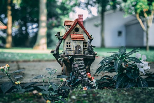 Free Brown and Red Birdhouse Stock Photo