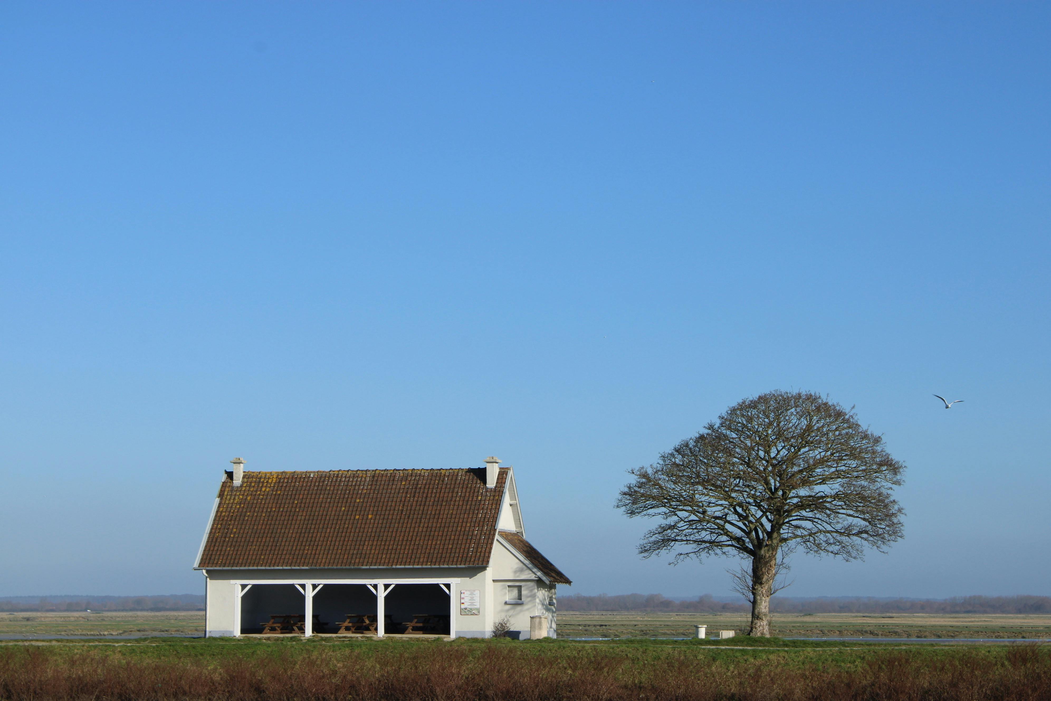 A serene rural scene with a traditional house and tree under a clear blue sky.