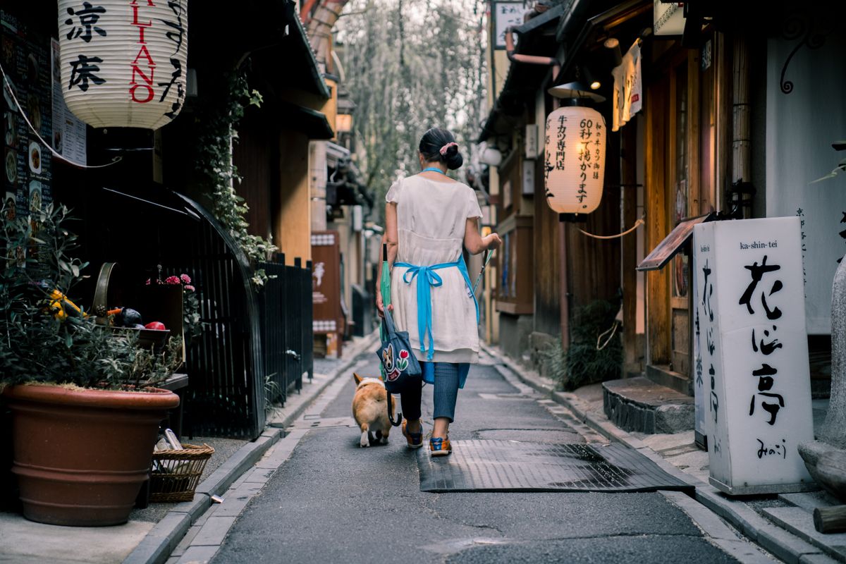 Kyoto temple and garden near popular places to stay