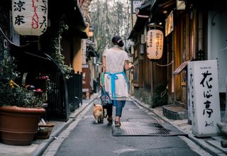 An Asian woman walks her dog through a traditional Kyoto alley, surrounded by lanterns and wooden houses.