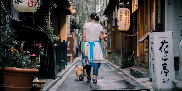 An Asian woman walks her dog through a traditional Kyoto alley, surrounded by lanterns and wooden houses.