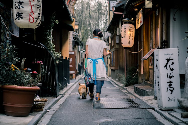 Back View Photo Of Woman In White Dress Walking With Her Dog In An Alley