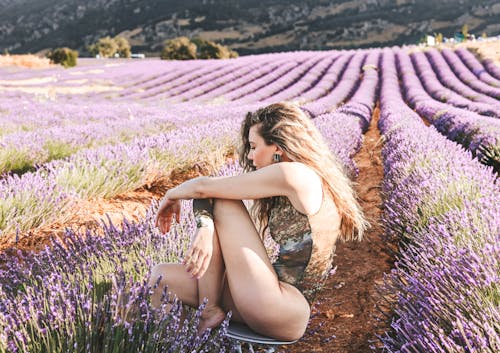 คลังภาพถ่ายฟรี ของ lavanda, กลางแจ้ง, การท่องเที่ยว