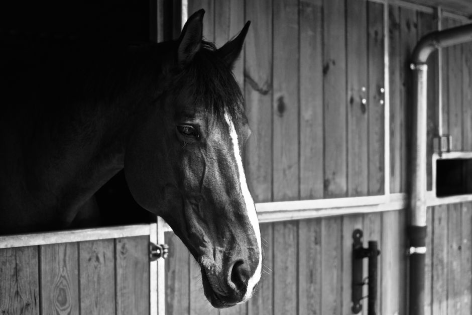 photograph barn