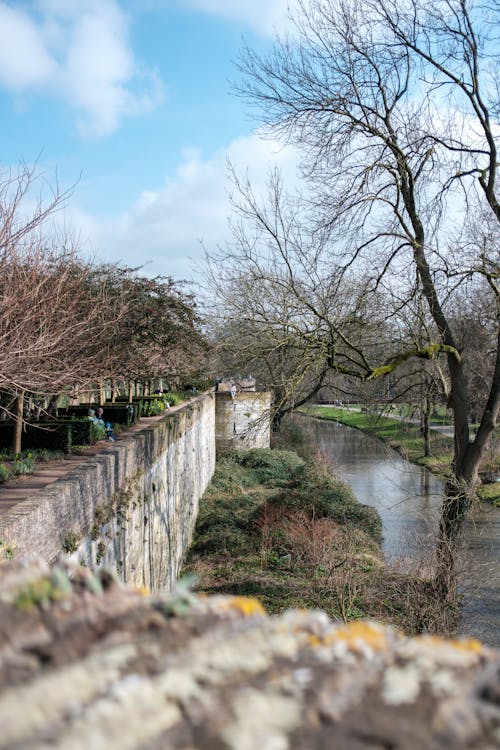 Imagine de stoc gratuită din anotimp, apă, apă curgătoare