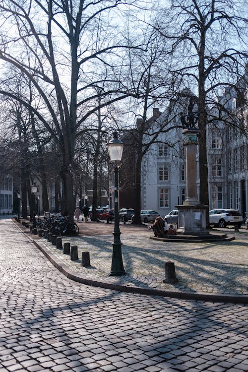 A street with cobblestone and trees in the background