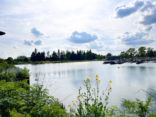 Gratis stockfoto met merengebied, prachtig landschap