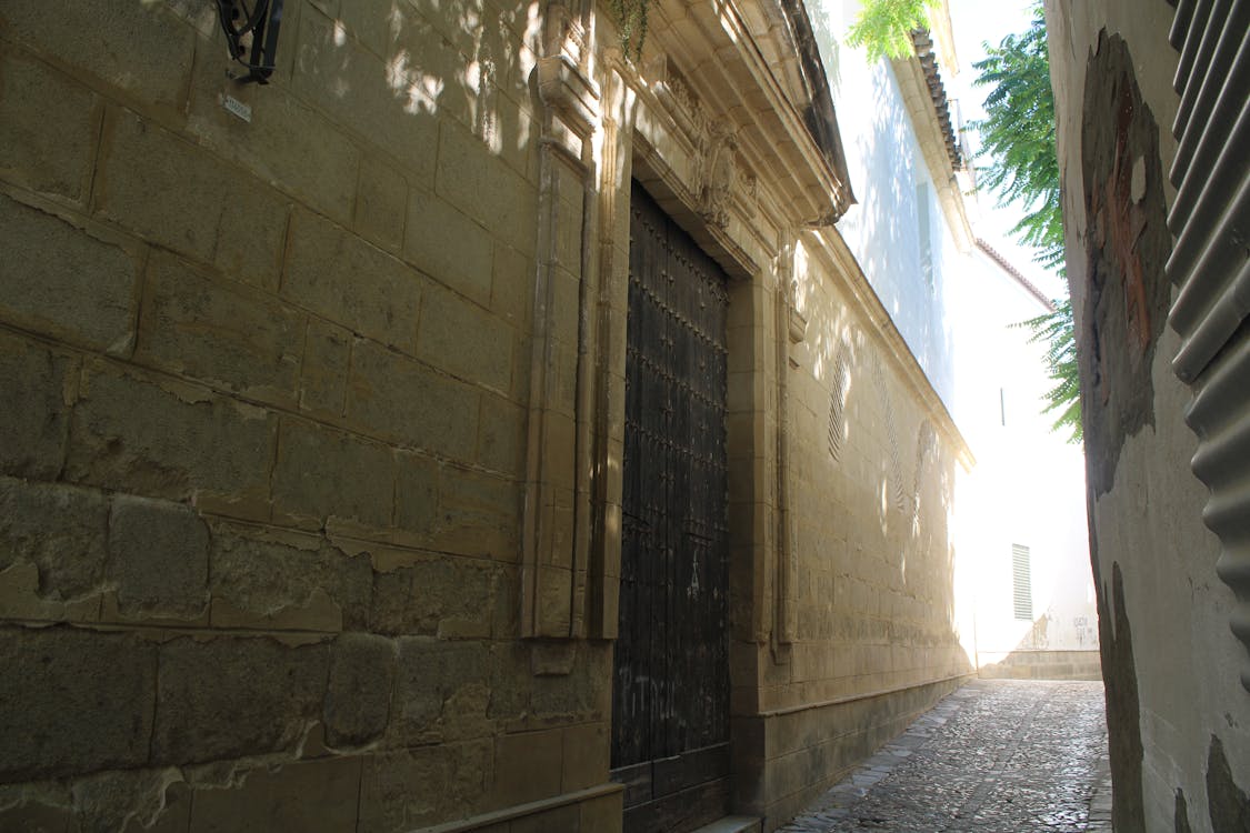 convento de Santa María de Gracia | fotografía 10