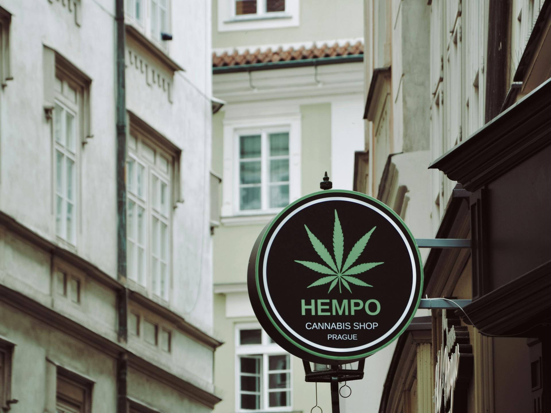 Hempo Cannabis Shop Logo