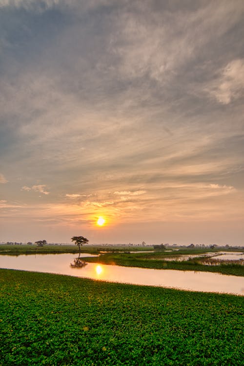 Foto Sungai Saat Golden Hour