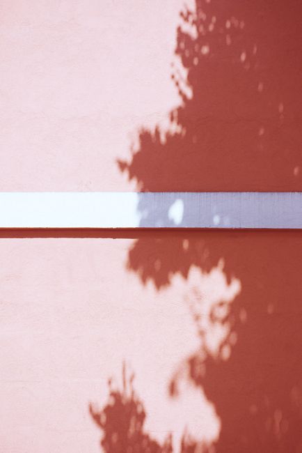 Tree shadows create abstract patterns on a vibrant wall, capturing sunlight and aesthetics.