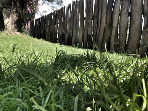Free stock photo of fence, grass, natural Stock Photo