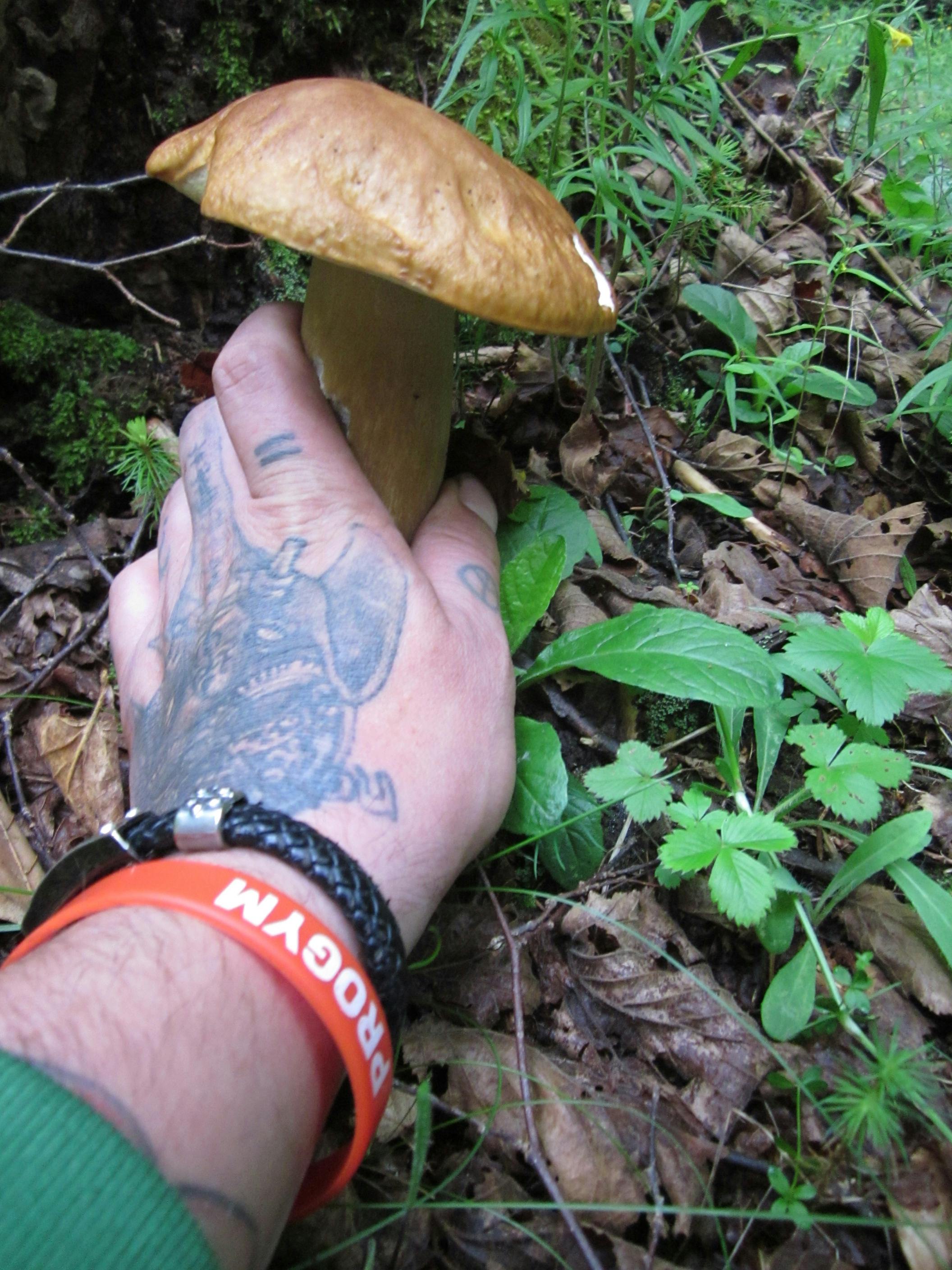 Kalamár István Norbert 摄影