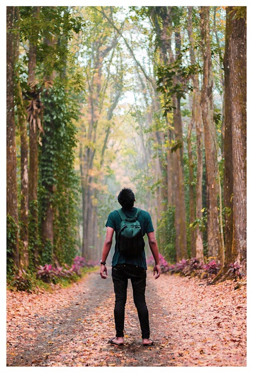 Back View Photo of Man Standing Alone in Dirt Road In Between Trees Looking Up