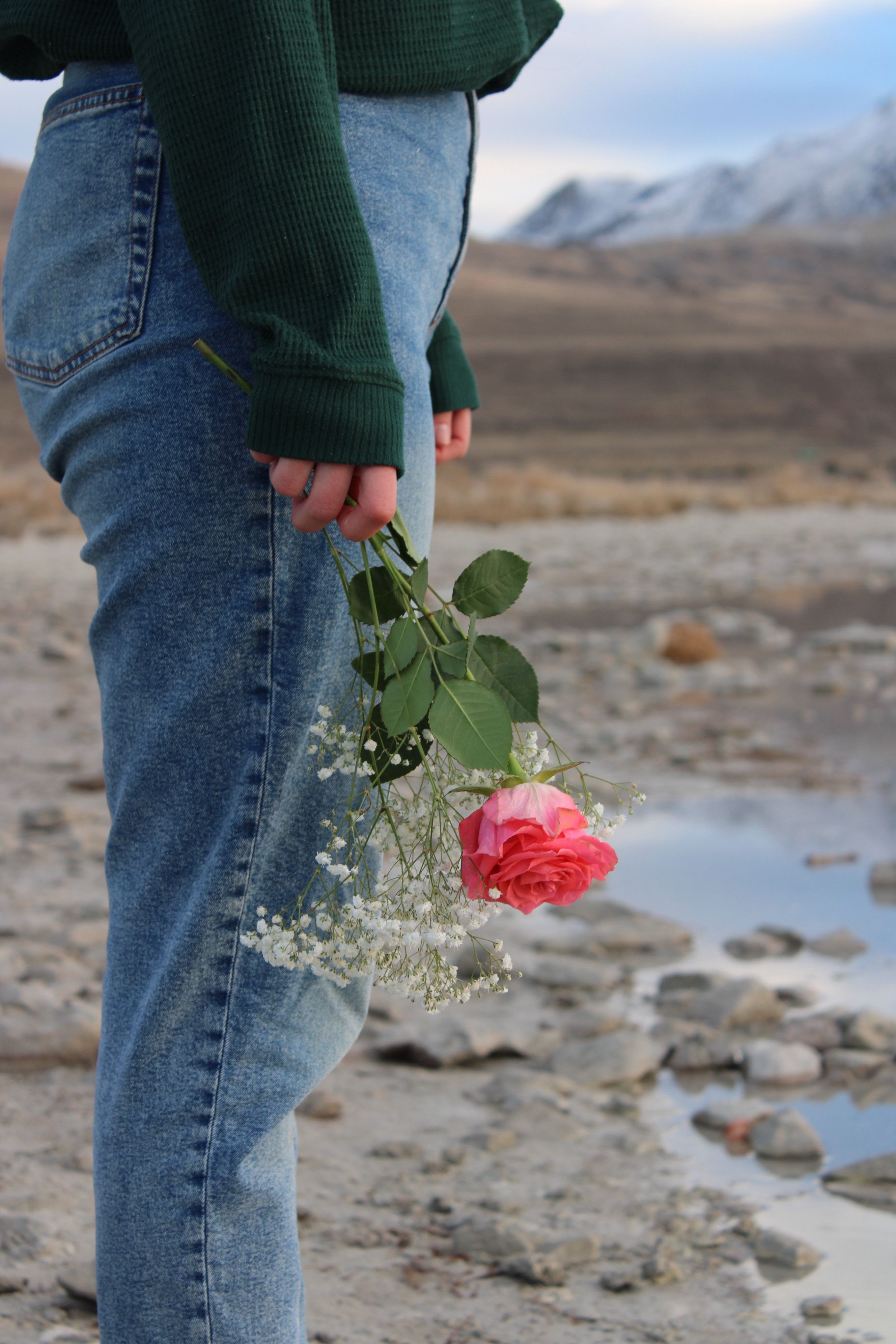 Background Rose On The Side Photos, Download The BEST Free Background ...