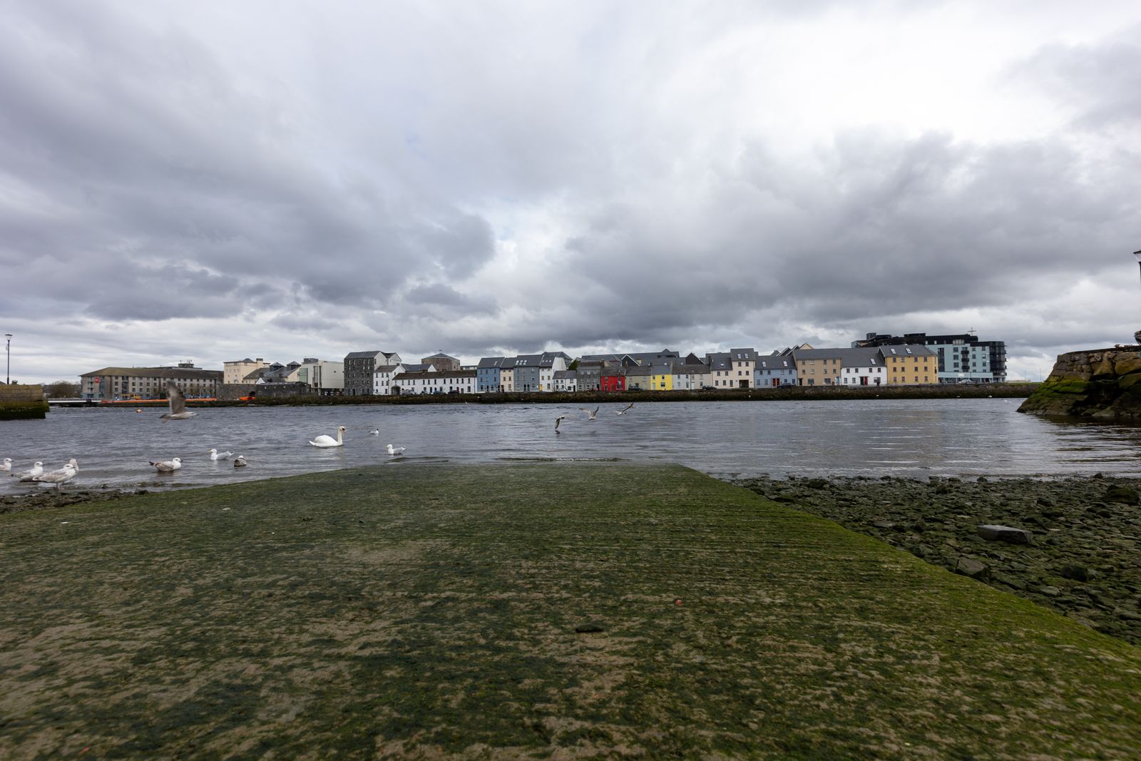 A urban waterfront vista of Galway with cloudy skies and swans on the water