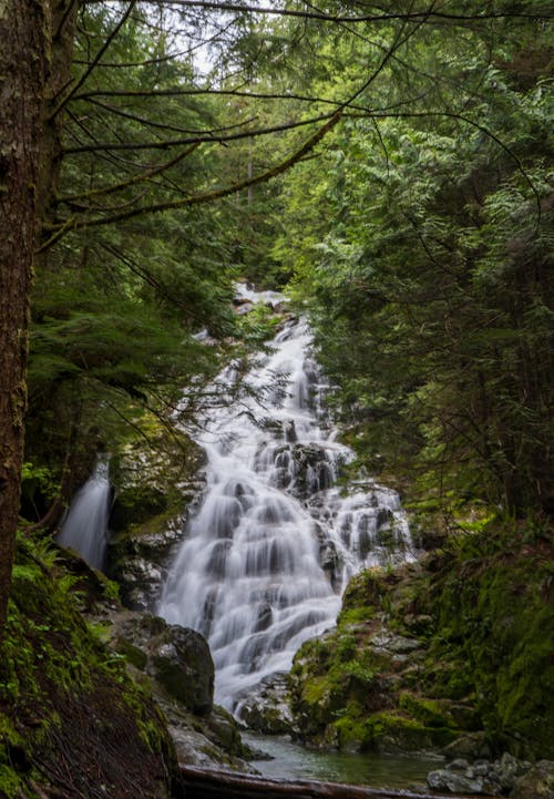 Foto stok gratis air, air terjun, aliran